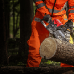 Gros plan sur une tronçonneuse Kress kc340.9 taillant un gros tronc d'arbre